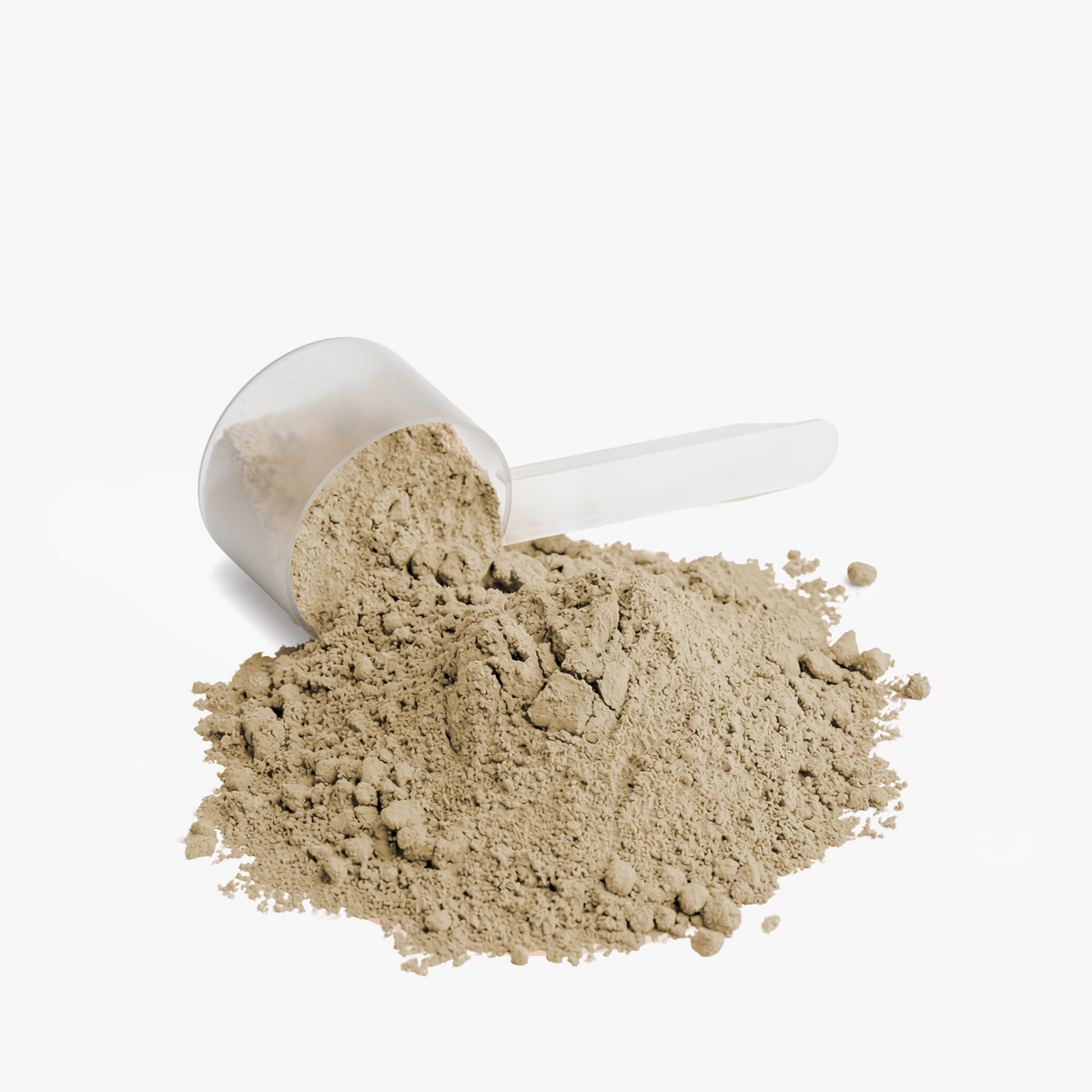 Plant Protein (Vanilla) Taylor Boy Work Out Fave