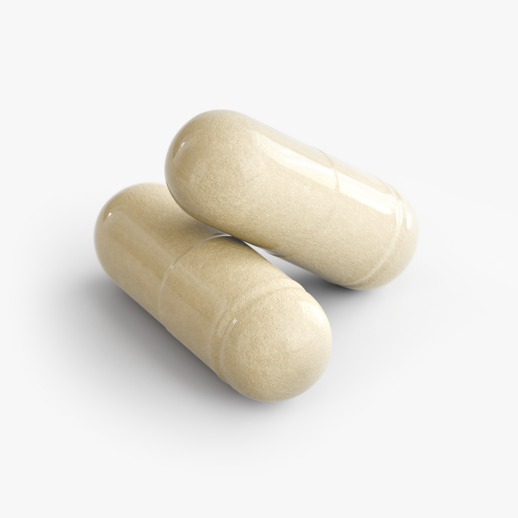Gut Health - Probiotic Digestive Health